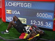 Мировой рекорд Чептегей на 5000 метров ратифицирован
