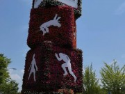 IMG_1706 2
